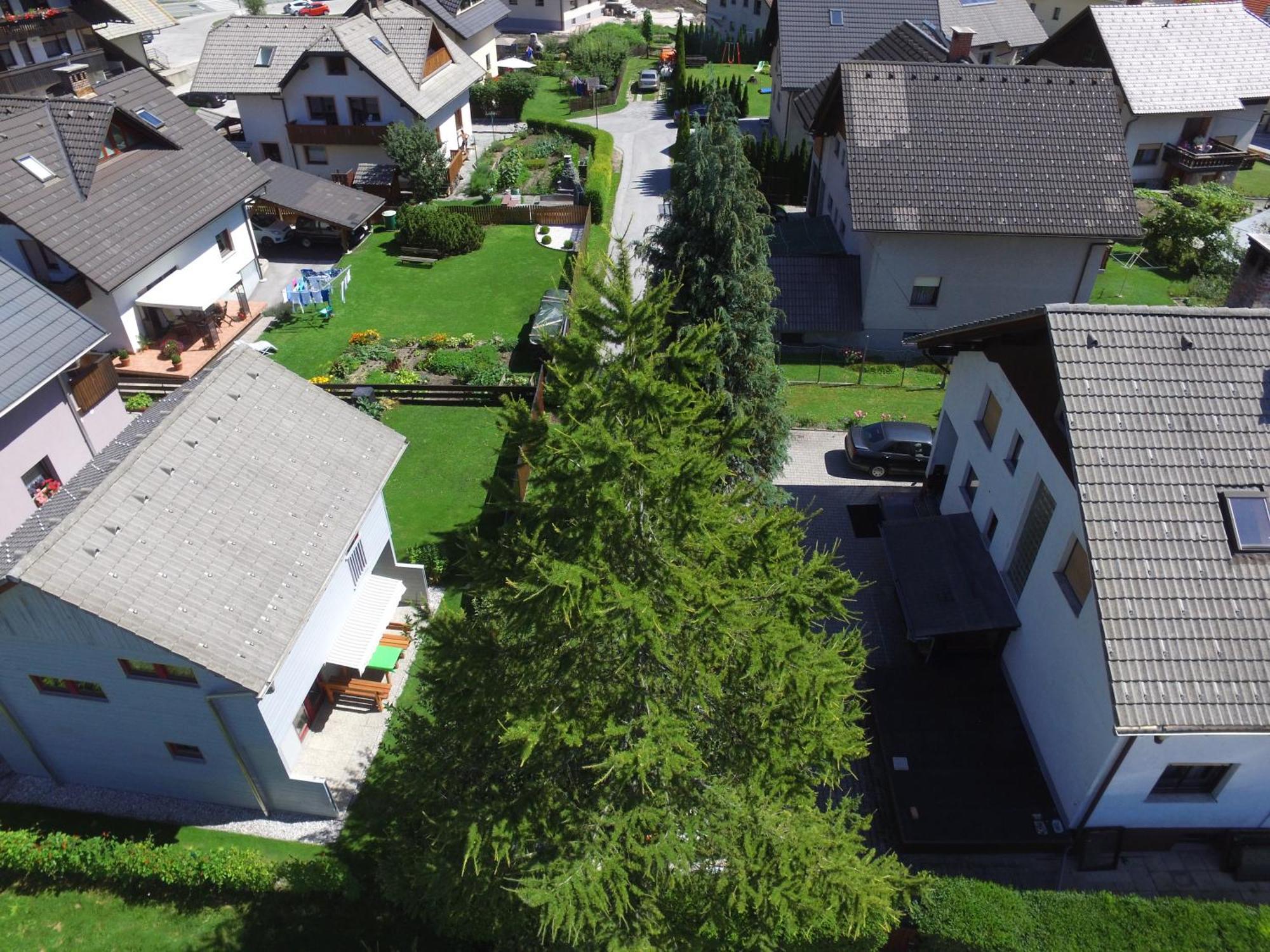 Apartments And Holiday Home Grohar Kranjska Gora Dış mekan fotoğraf